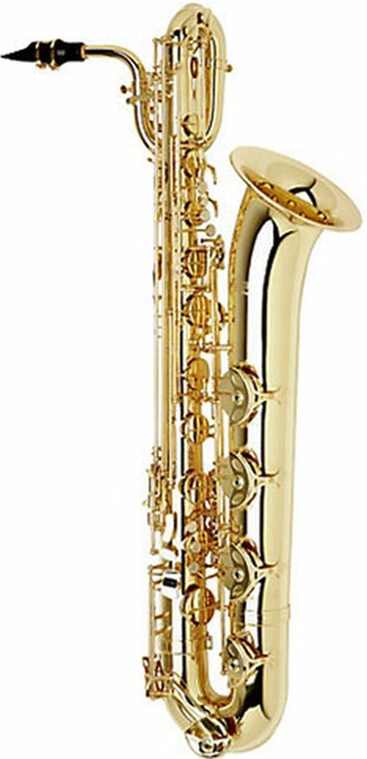 good saxophone on rent chandigarh