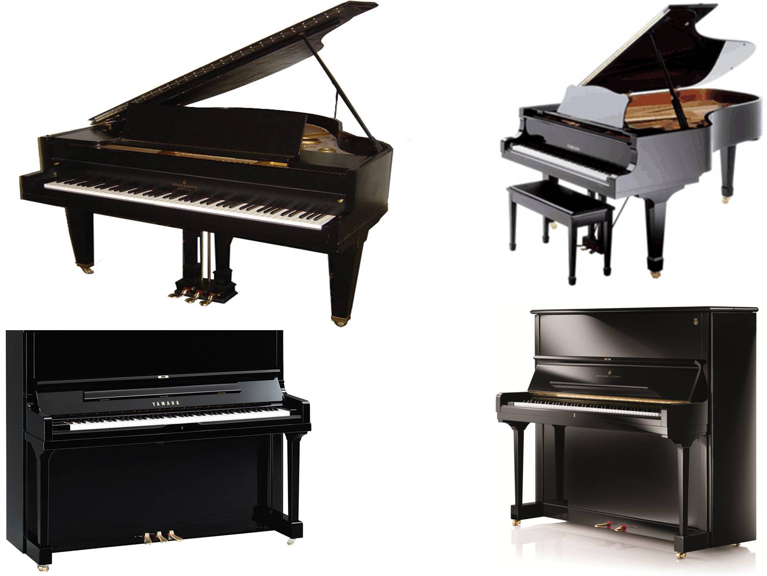 piano on rent chandigarh